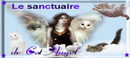 Le sanctuaire des chats de Cat angel