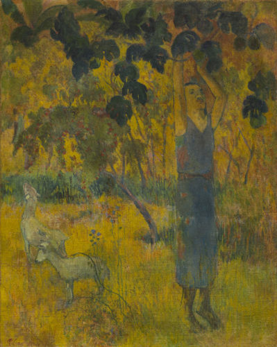 Paul-Gauguin-L'homme cueillant des fruits 1897 -o-399x500.jpg