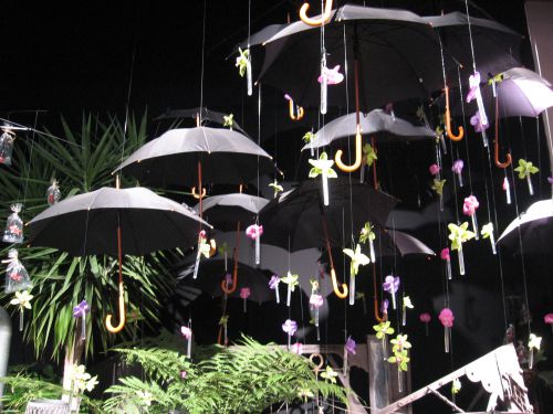 Délire-parapluies