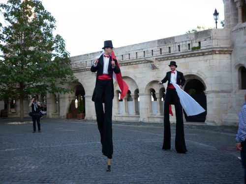 Curieuse rencontre dans la cour du  chateau