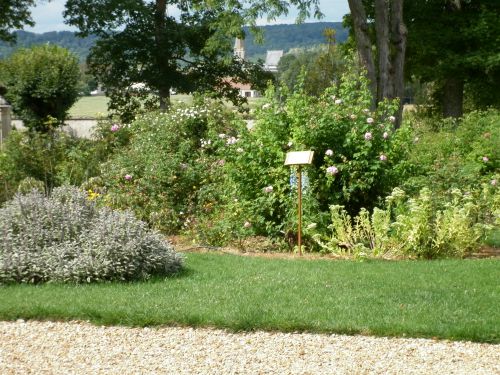 Voilà une belle balade au milieu des fleurs