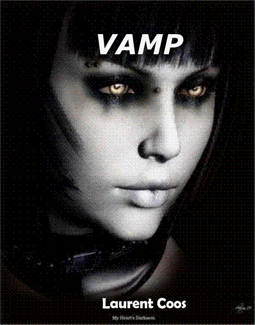 Couverture VAMP e-book.gif