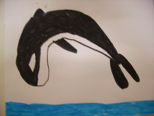 orque c est moi qui fait mes dessins