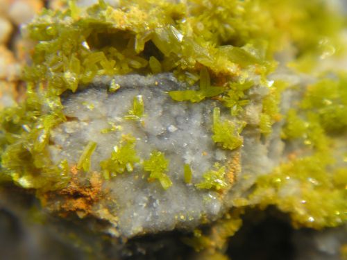 Pyromorphite & wulfénites - La Croix des Oncins - Monsols - 69  (Champs: 2,5 cm)