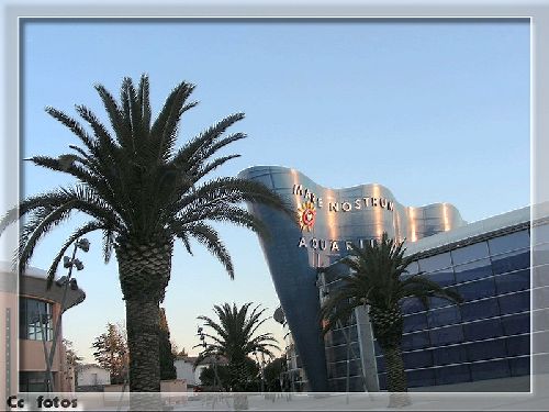  l' aquarium de MONTPELLIER.