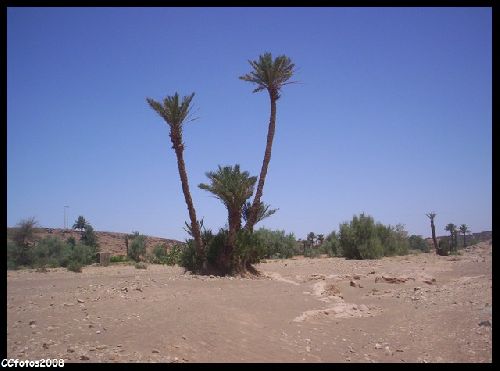 ...MAROC, dans le DESERT