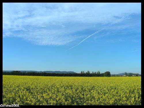 Le 7 avril - à PIERRELATTE (26)