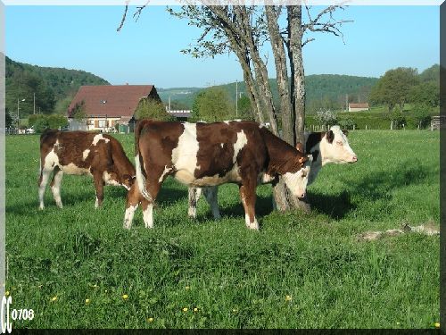 Dans un ptit village du Doubs