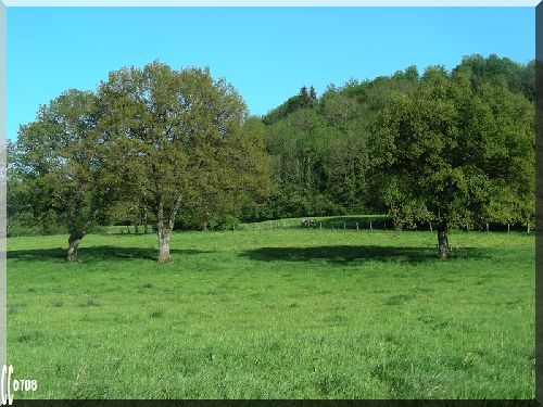 Dans un ptit village du Doubs