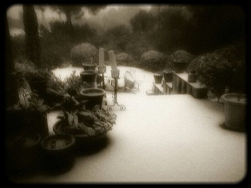 Jardin anglais sous la neige