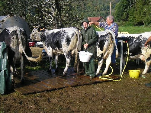 UNE BONNE DOUCHE POUR ETRE LA PLUS BELLE