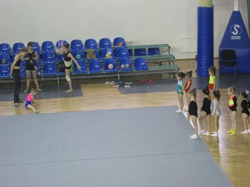 Des petites gymnastes en plein entraînement