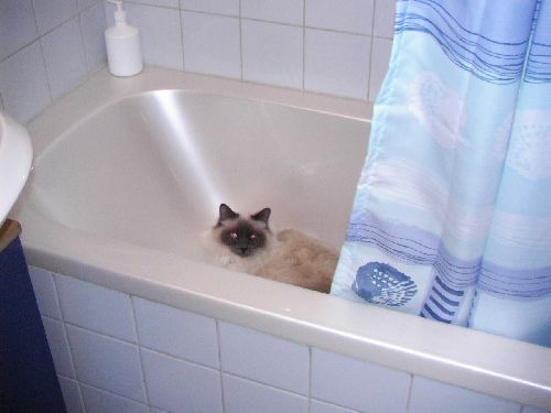 yuna dans la baignoire