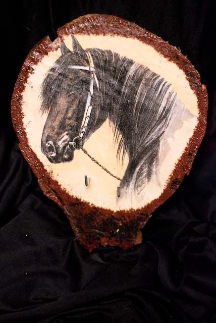 Tranche de Cheval : black stallion