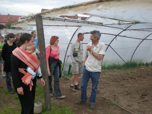 sous la serre, des melons pour l'été