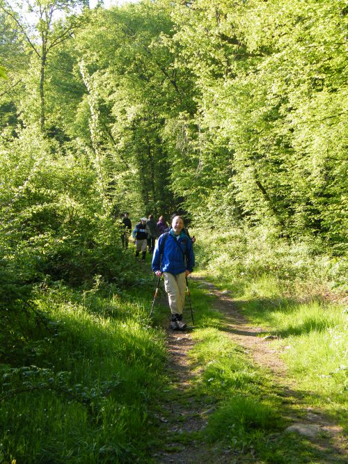 Oxfam Trailwalker 2012 / Ils arrivent au PC 7 à 15 km de l'arrivée