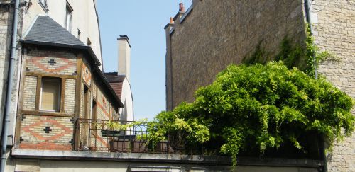 Dijon rue Chabot-Charny - Terrasse arborée au 2ème étage