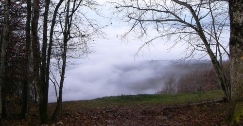 Dans la vallée, le brouillard
