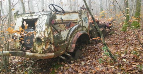 Un drôle d'engin dans la forêt