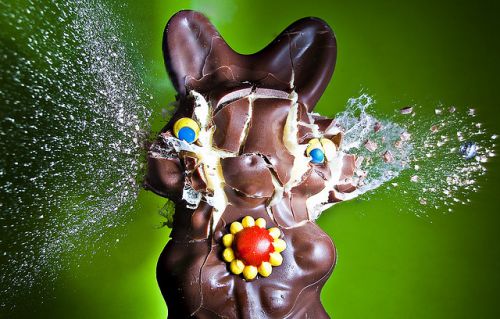 Photo explosive d'un lapin en chocolat