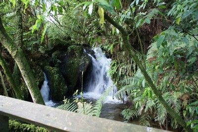 Visite du Buried village pres de Rotorua
