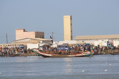Senegal Saint Louis marché aux poissons