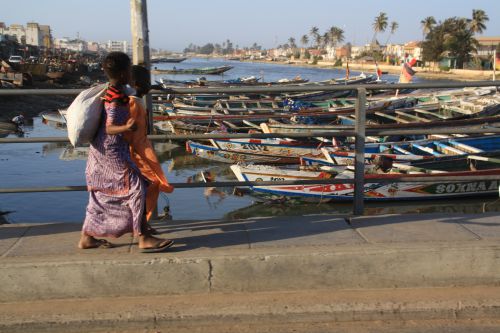 Senegal Saint Louis le marché aux poissons