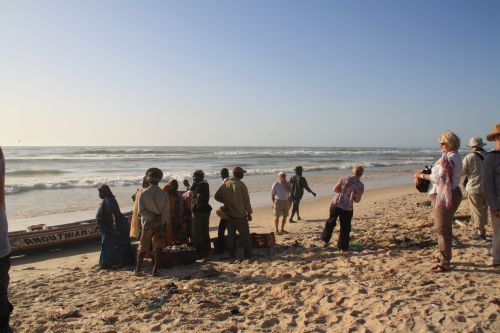 Senegal Saint Louis le marché aux poissons