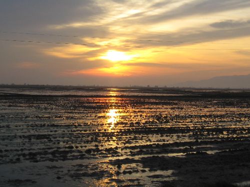 COUCHER DE SOLEIL DELTA DE L\'EBRE