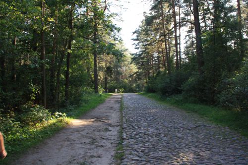 TREBLINKA route menant au Mémorial