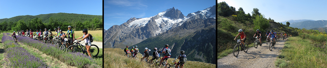 Comité Regional Auvergne-Rhône Alpes de Cyclotourisme