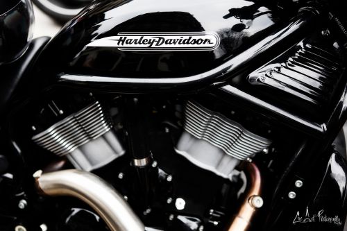 harley Davidson