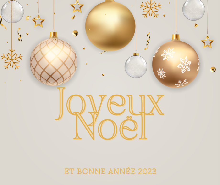 CARTE DE VOEUX Merry Christmas and Happy New Year Facebook Post