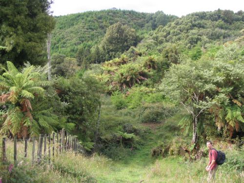 Promenade autour de la ferme