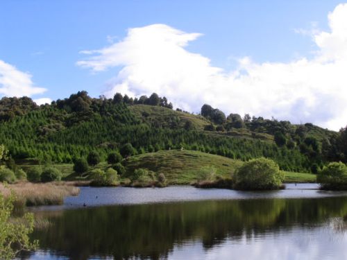 Etang près de la ferme