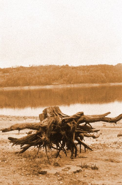 Lac du barrage de Bort-les-Orgues à son plus bas niveau*