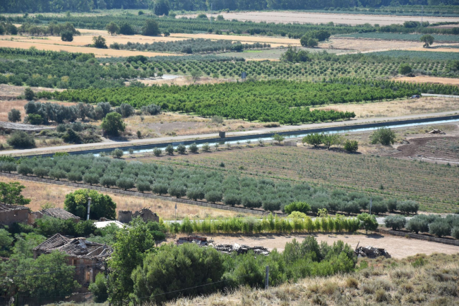 Le canal de Lodosa et les cultures