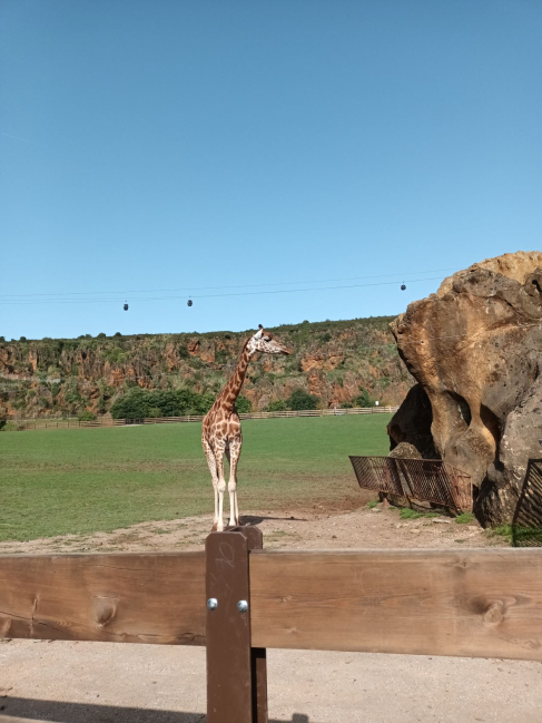 Parc de Cabarceno