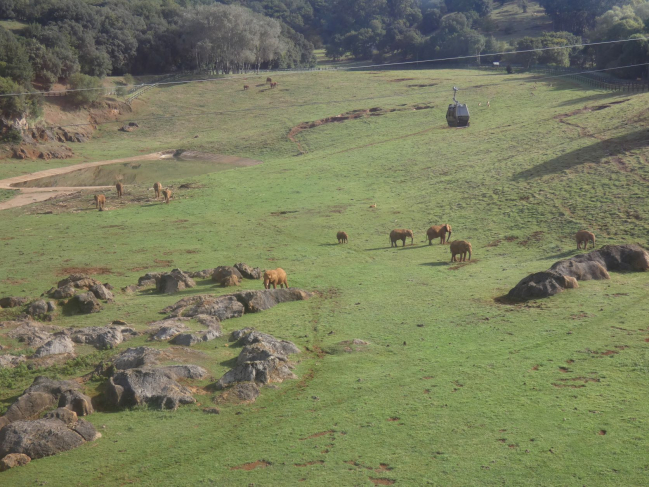 Au dessus du parc des éléphants