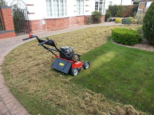 Scarifying-Lawn1.jpg