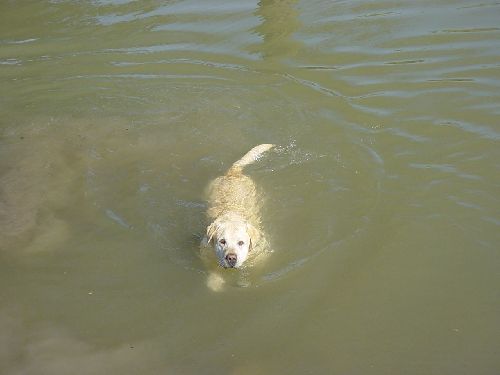 Quelle belle bouille...avait-il...