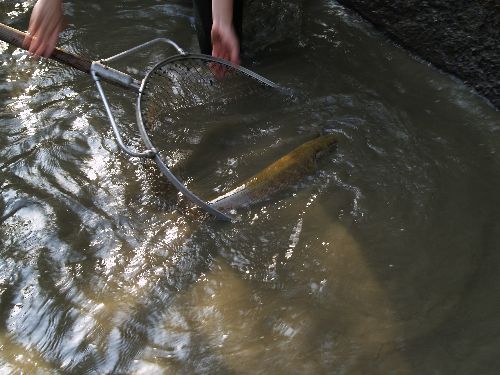 Belle pêche !!