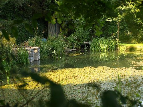 Havre de paix au bord d\'un étang à Rosée