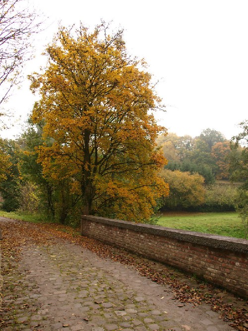 Un petit pont dans la vallée.....