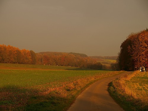 Couché de soleil sur les couleurs d'automne. (03 novembre 2008)