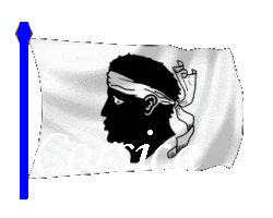 Drapeau corse, Le drapeau de la Corse a été adopté par Pasc…