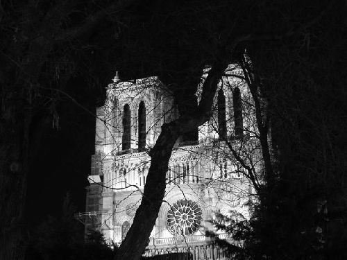 Cathédrale Notre dame de Paris