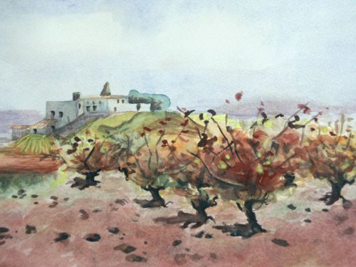 vignoble    31X29.7 cm 