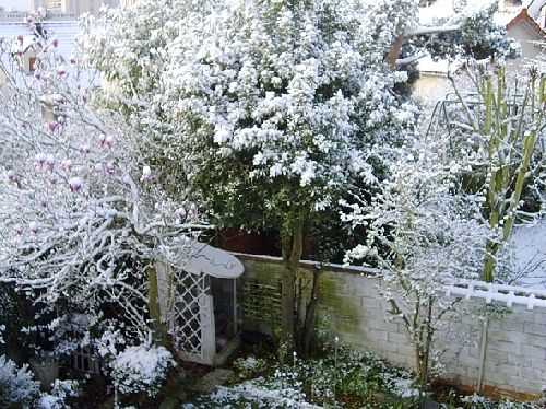 VERRIÈRES-LE-BUISSON : LE JARDIN SOUS LA NEIGE (07/04/2008)