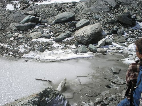Glacier de Bellecôte